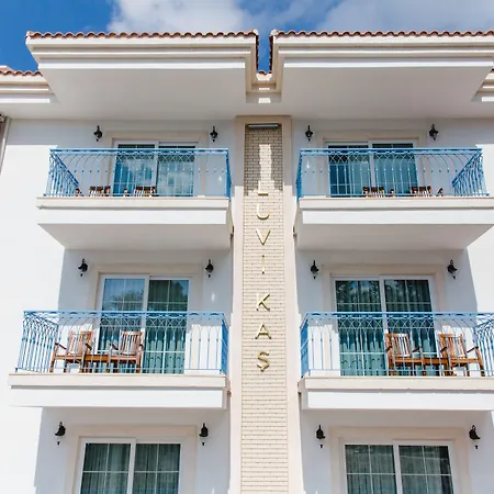 Luvi - Adults Only 2*