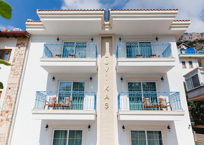 Luvi - Adults Only 2*