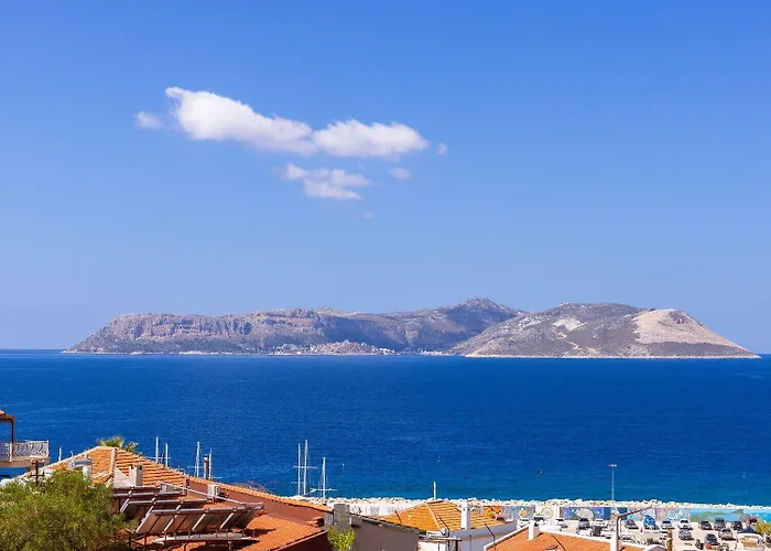 酒店 Luvi - Adults Only 2*