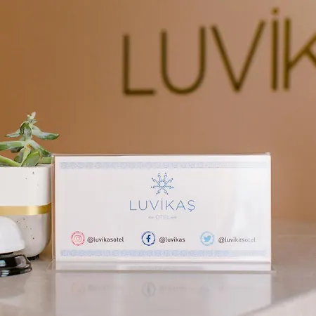 Luvi - Adults Only 2*