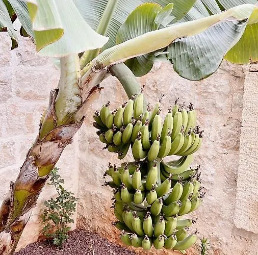 Luvi - Adults Only Hotel